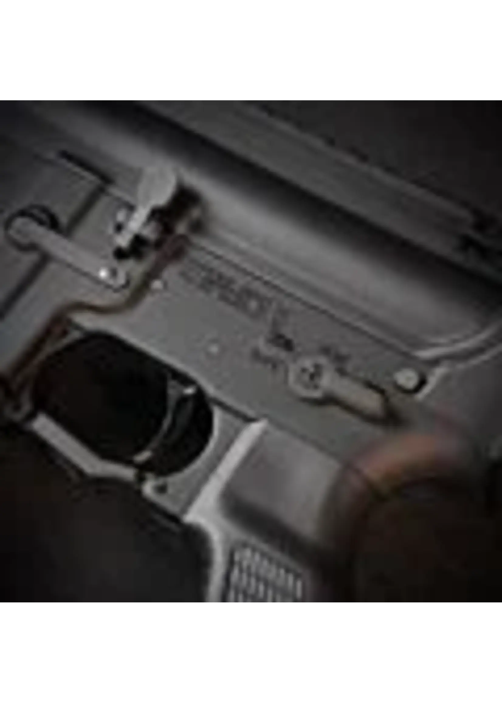 wolverine Wolverine MTW Forged Series - Tactical 10" SBR