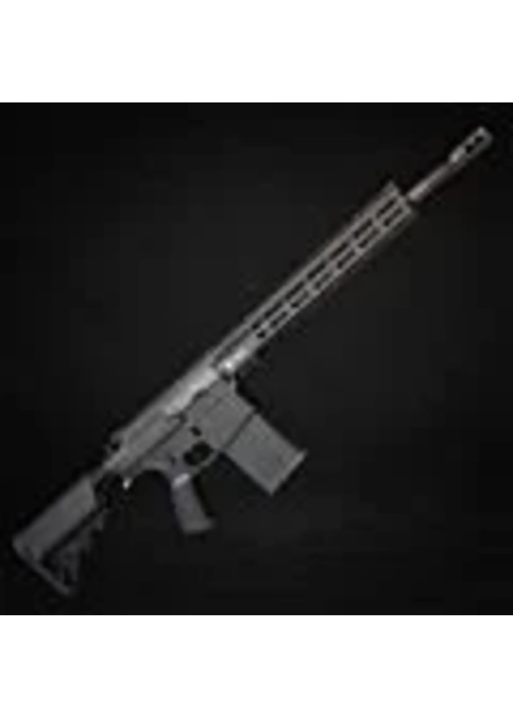 wolverine Wolverine MTW-308 Tactical XBR HPA DMR