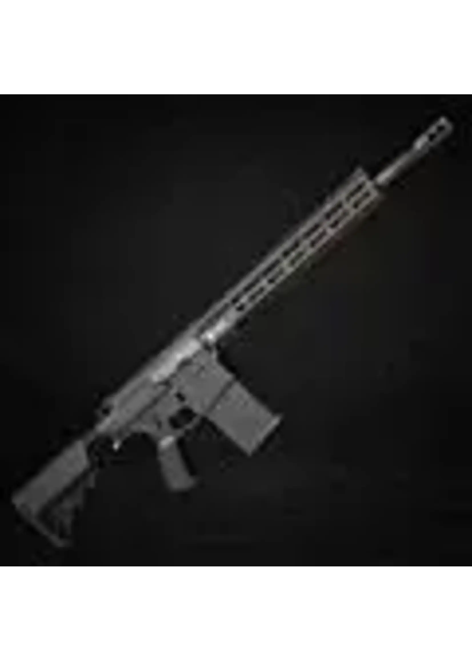 wolverine Wolverine MTW-308 Tactical XBR HPA DMR