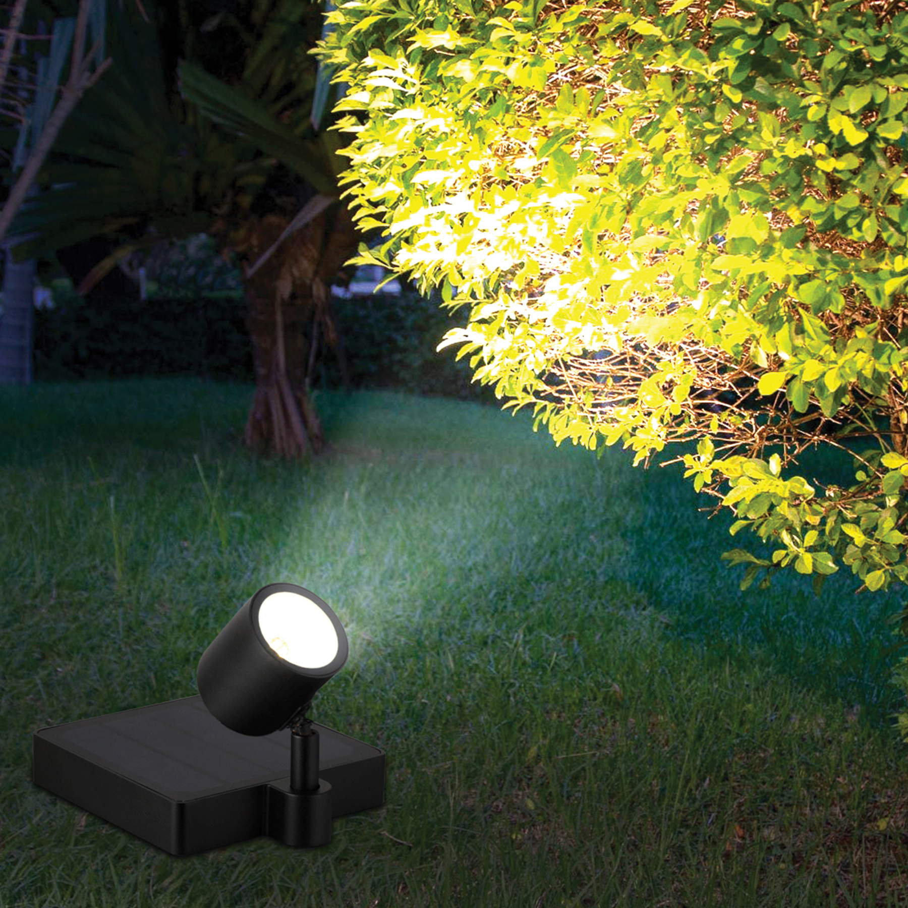 Gloed Gaan wandelen Ik heb het erkend LED Tuinspots - Ledlichtstunter.nl