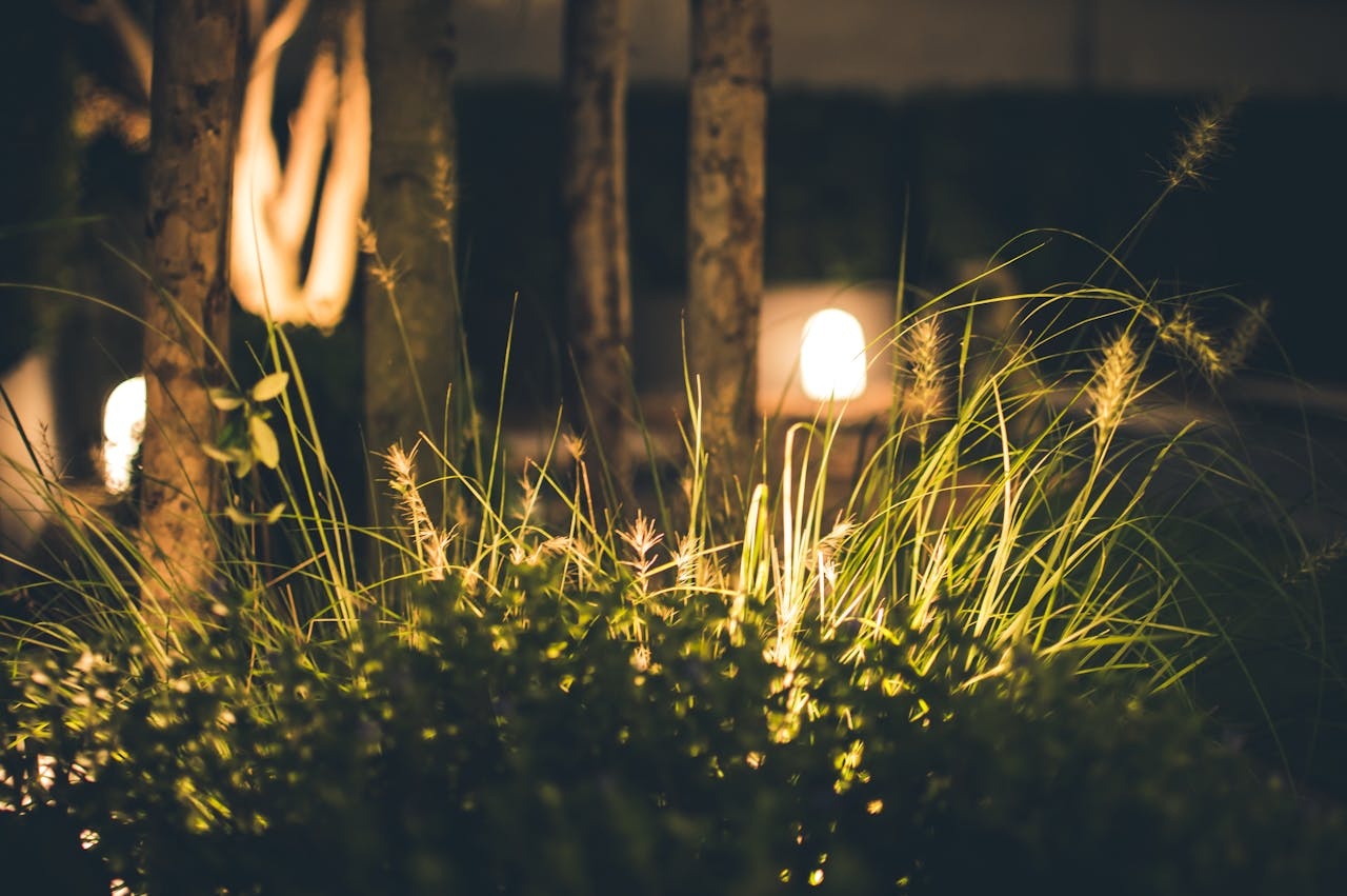 LED Tuinverlichting: Tips & Inspiratie