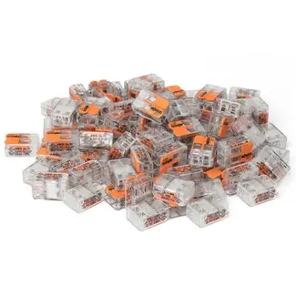WAGO 100x WAGO Klemmen | 2-polig