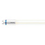 Philips LED TL Buis T8 Master | 60cm | 8W | 4000K Helder wit (840) | 1050 lm