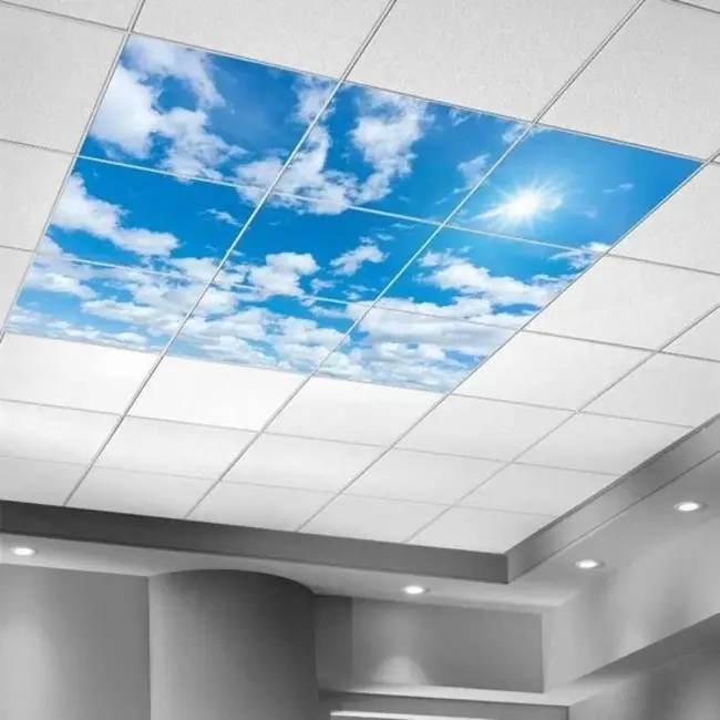 PURPL Wolkenplafond met design #1 | Fotoplafond LED Paneel | Acrylplaat voor 60x60 systeemplafonds | IMG8