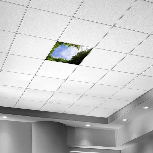 PURPL Bomenplafond met design #1 | Fotoplafond LED Paneel | Acrylplaat voor systeemplafonds 60x60 | IMG1