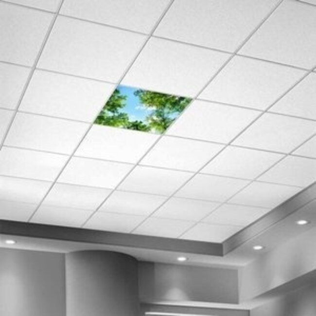 PURPL Bomenplafond met design #2 | Fotoplafond LED Paneel | Acrylplaat voor systeemplafonds 60x60 | IMG10