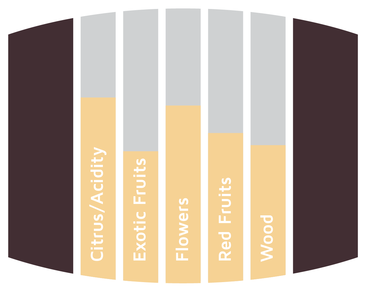 Flavours Sauvignon Blanc Barrels