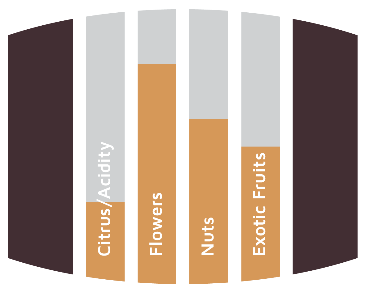 Flavours Amontillado Sherry Barrels