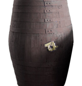 600 L CASKNOLIA® AMONTILLADO SHERRY CASK - 100 YEARS