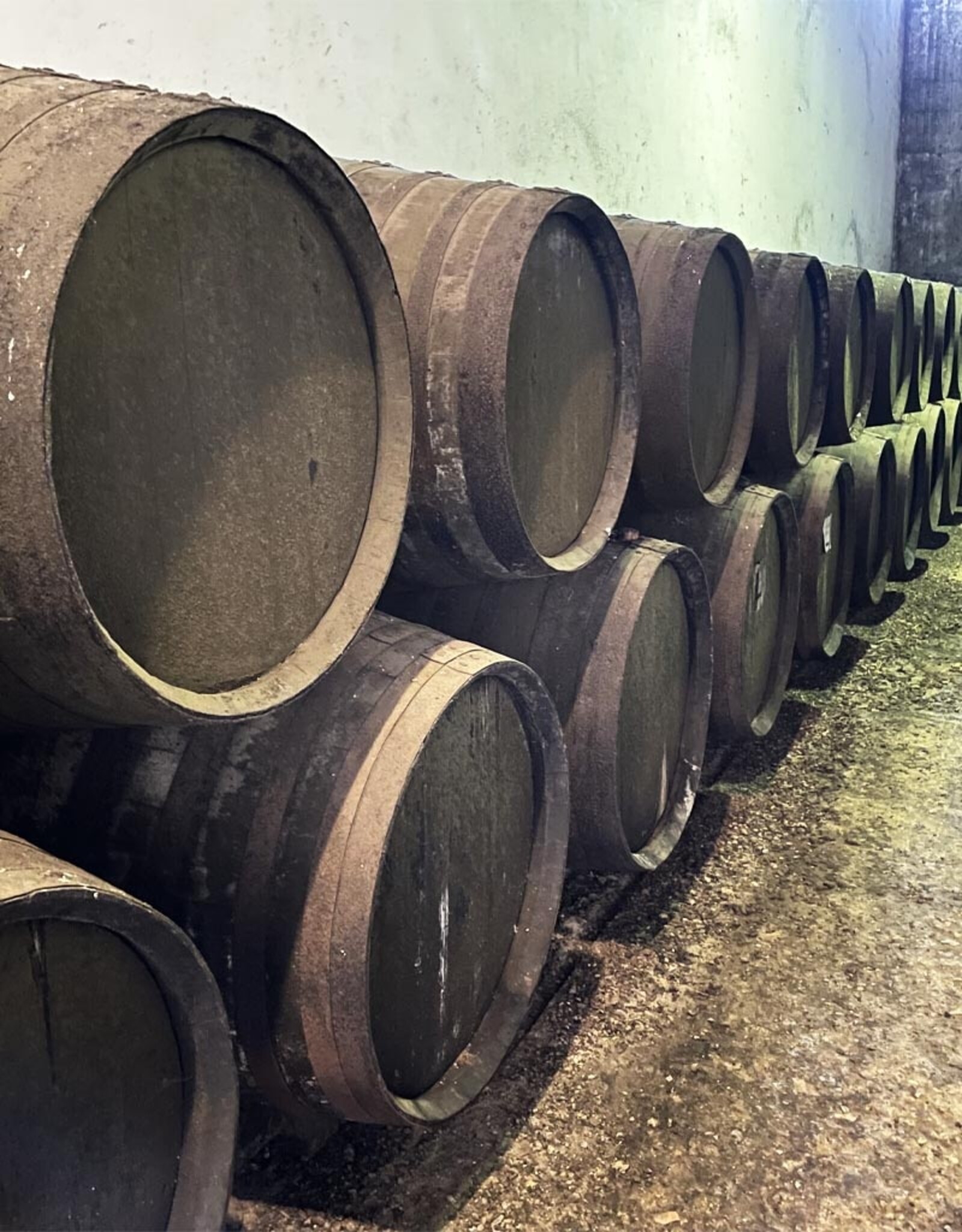 500 L CASKNOLIA® BRANDY CASK - 50 YEARS