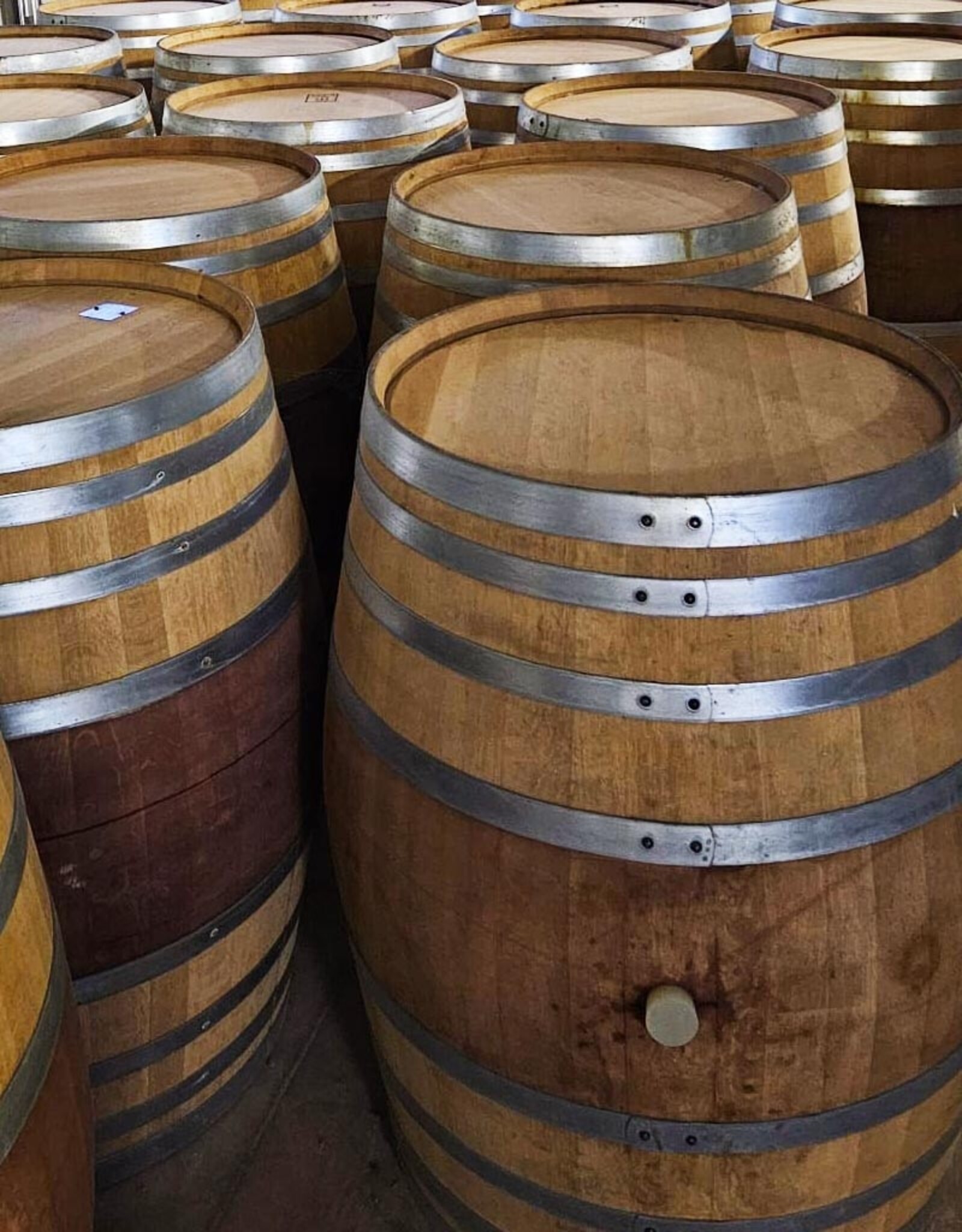 500 L RECIOTO CASK - ILATIUM MORINI