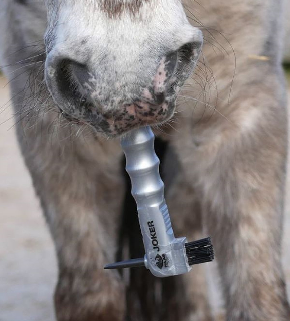 hoof pick Joker made from synthetic material