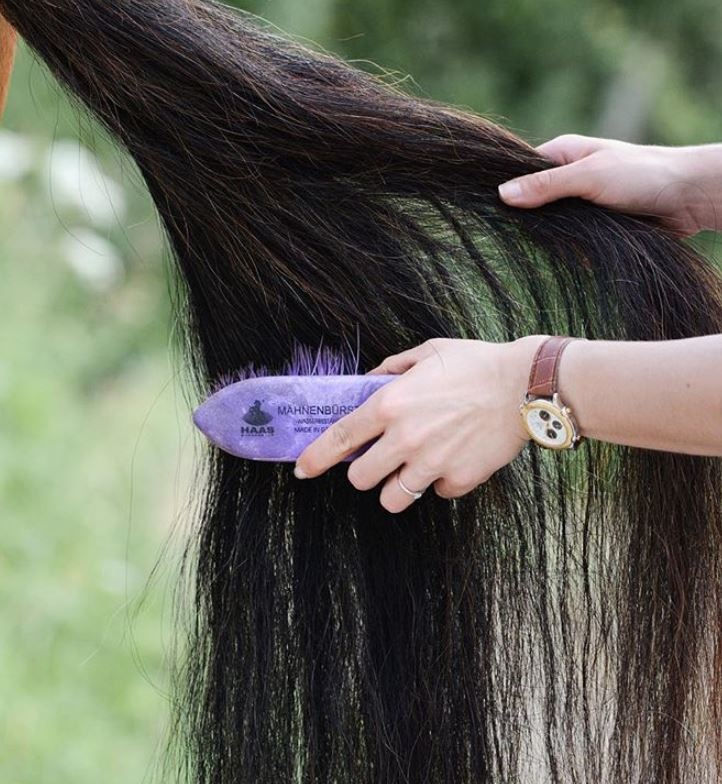 manenborstel gemaakt van kunststof klein 3 cm