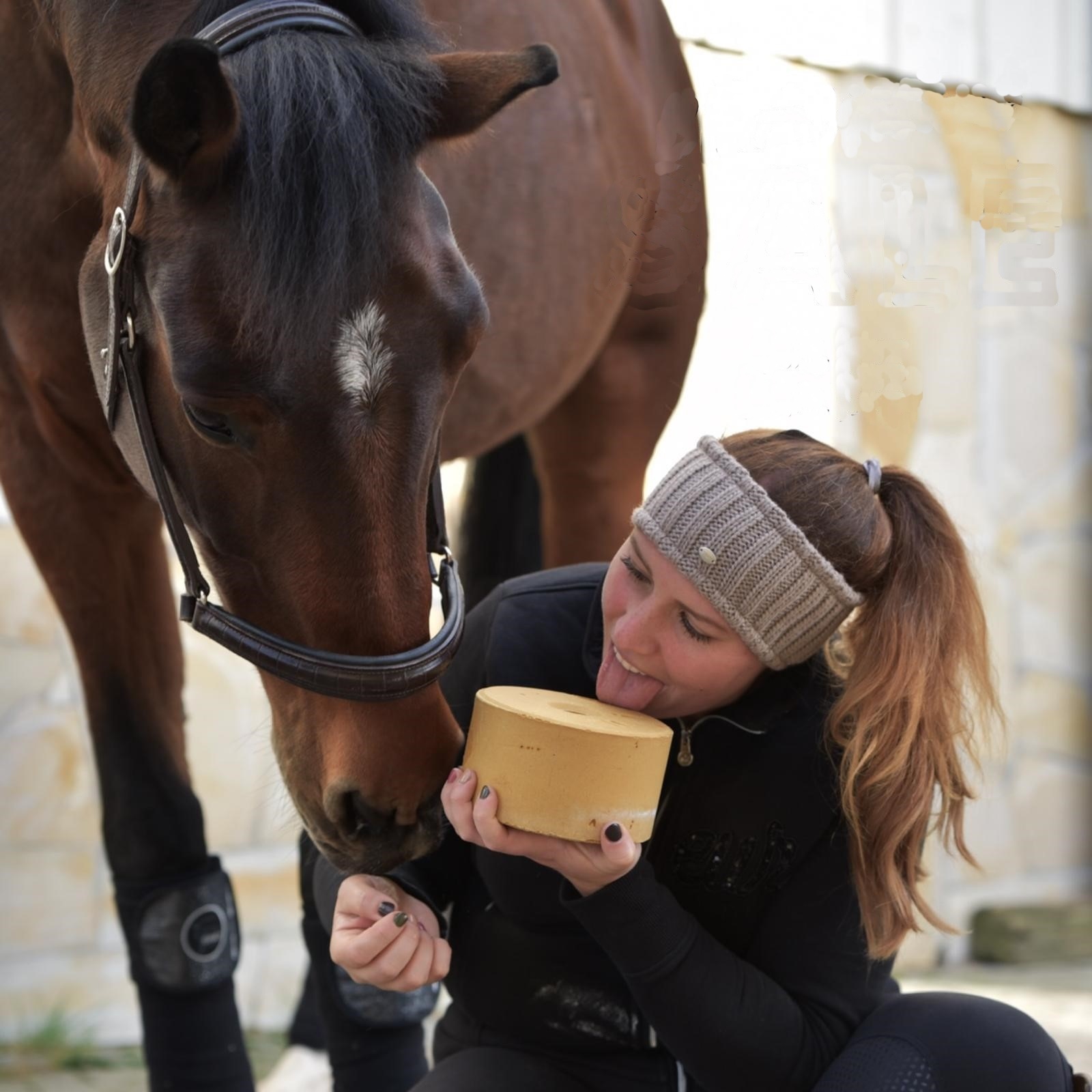 zink liksteen Zincoblock paard