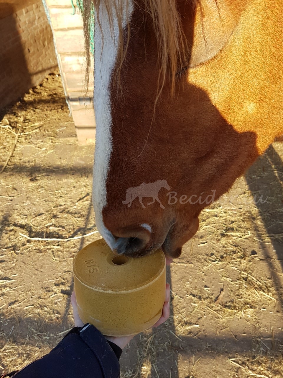 zink  lecken Zincoblock Pferd 3kg