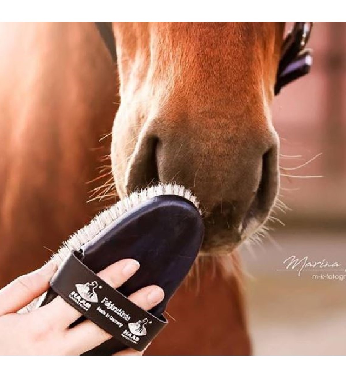 Haas borstel glanzende vacht gemaakt van dierlijk materiaal