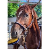 Waschbürste mit Schwamm aus Plastik hergestellt