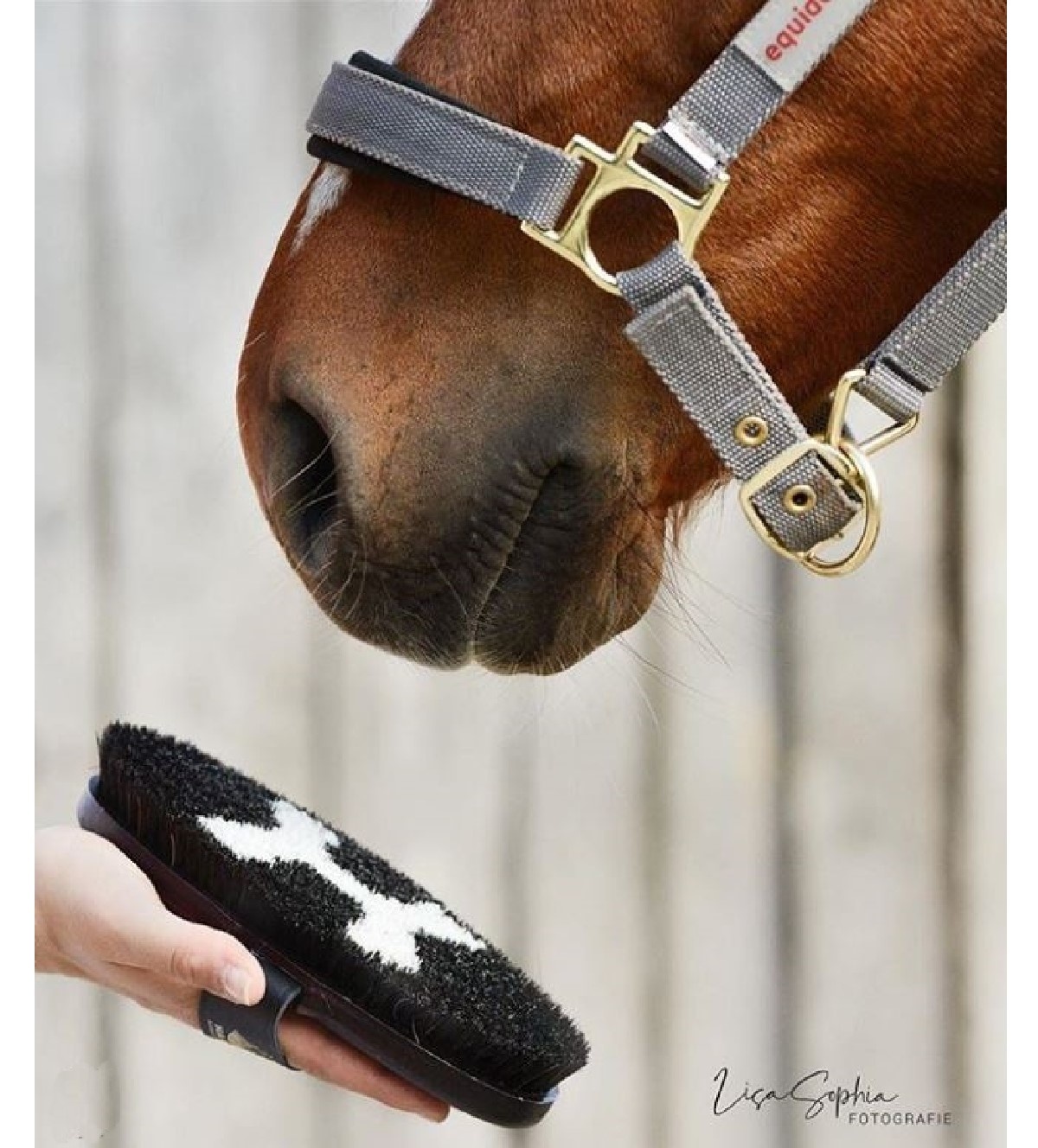 soft firmly brush Amazone made from animal material