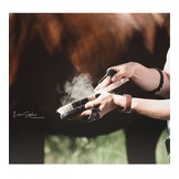 weiche Bürste Pinto aus tierisch Material hergestellt