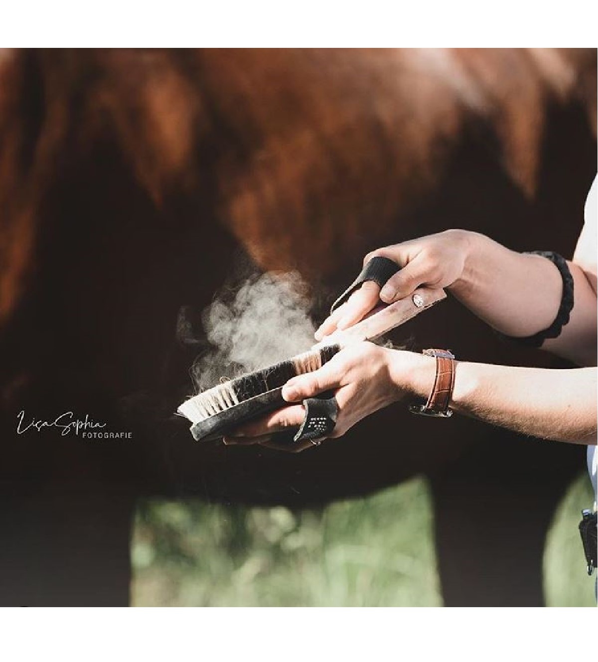 weiche Bürste Pinto aus tierisch Material hergestellt
