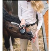 shine brush Diamond Gloss for the coat of the horse