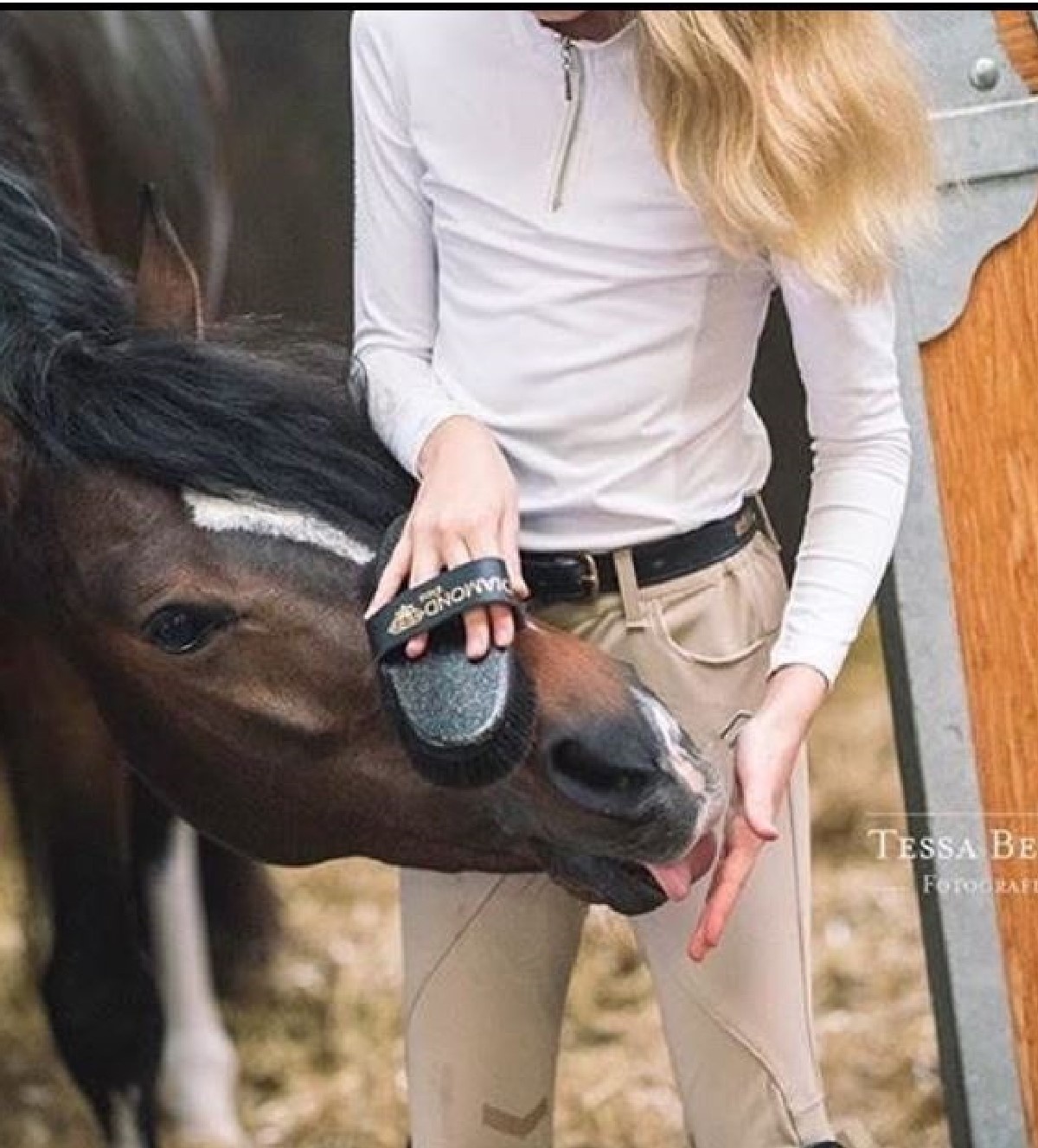 glansborstel Diamond Gloss voor de vacht van het paard