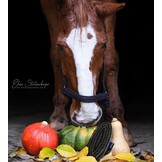 stevige borstel Mustang voor de vacht van het paard