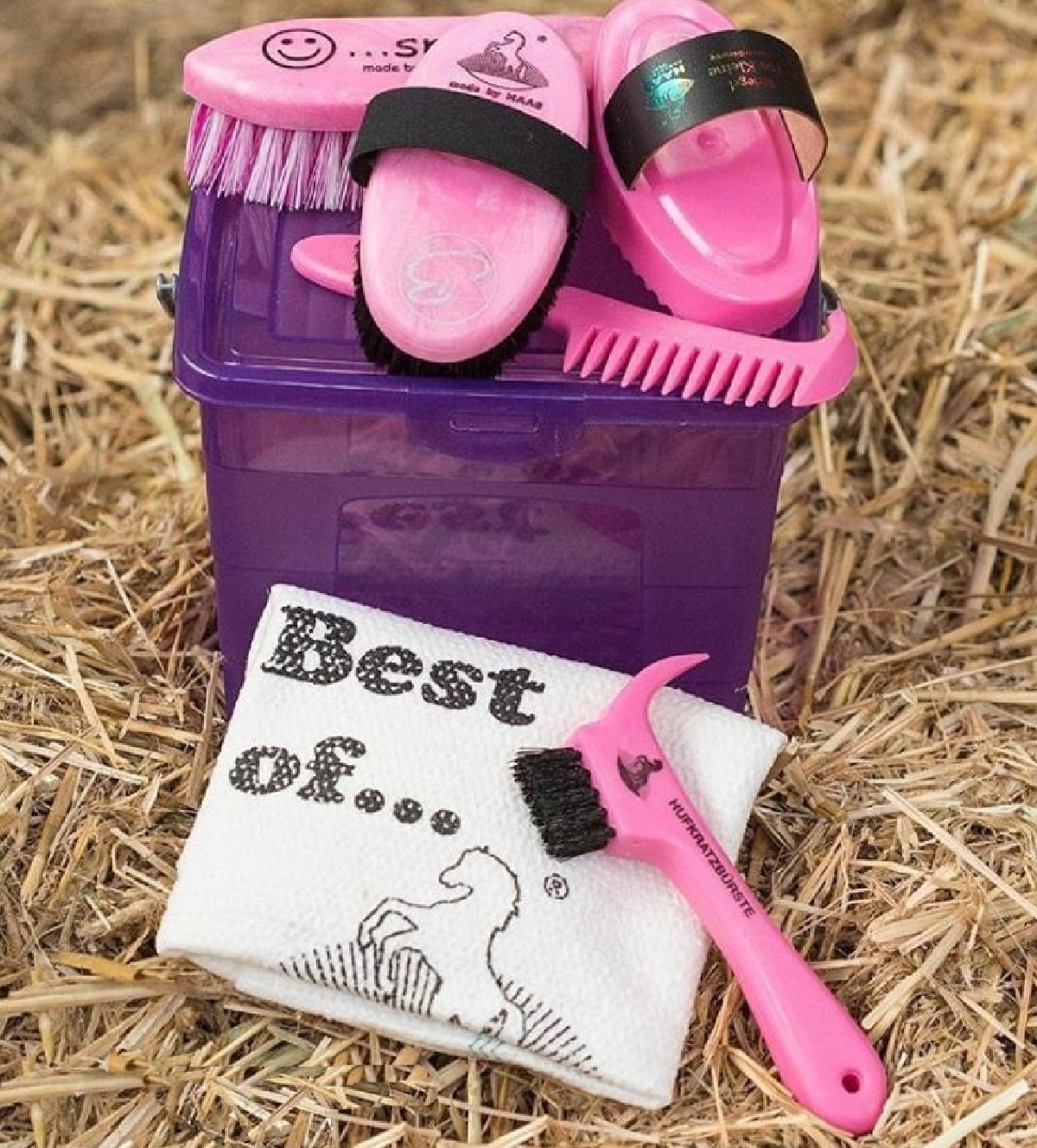 Horse cleaningset child with storage bag