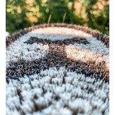 soft brush Lipizzaner for the coat of the horse