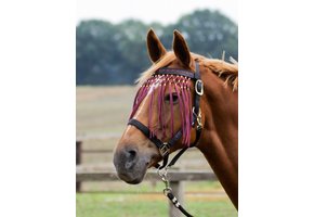 Fly browband