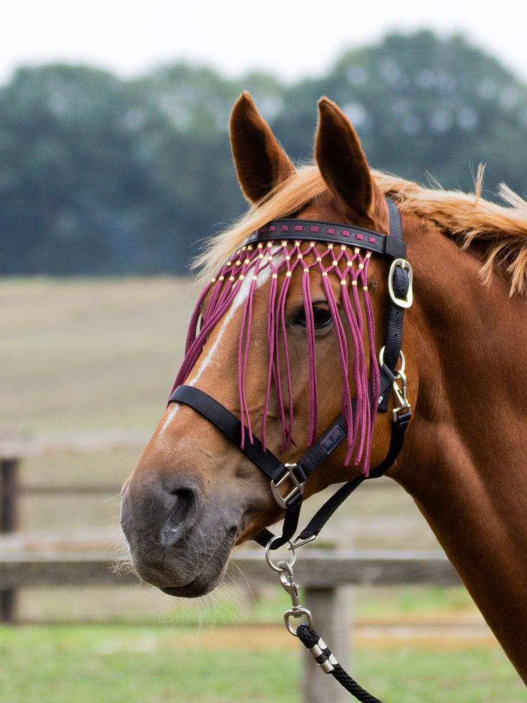 Vliegenfrontriem Beads, luxe lederen vliegenfrontriem met kraaltjes