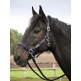 Sidepull-Halfter, eine günstige Alternative zu einem bitlosen Zaumzeug