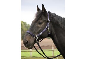 Sidepull halster pony