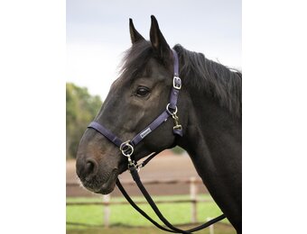 Sidepull halter