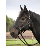 Sidepull-Halfter, eine günstige Alternative zu einem bitlosen Zaumzeug