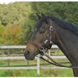 Sidepull-Halfter, eine günstige Alternative zu einem bitlosen Zaumzeug