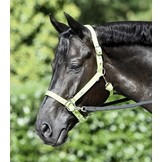 Sidepull-Halfter, eine günstige Alternative zu einem bitlosen Zaumzeug