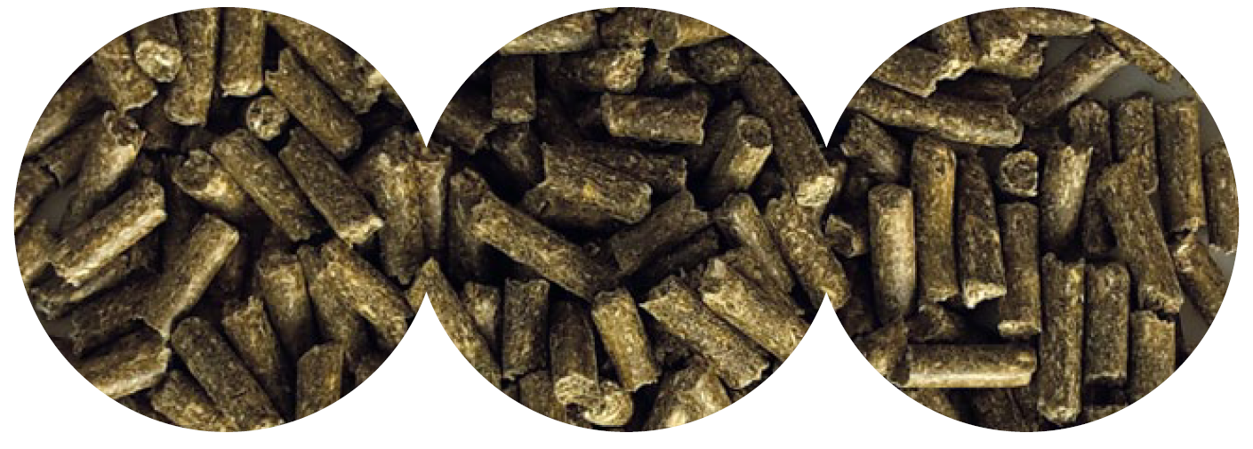 PLUS Vitamine und Mineral Pellets