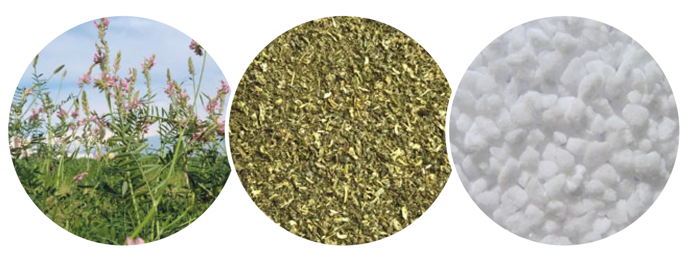 PLUS Vitamine und Mineral Pellets