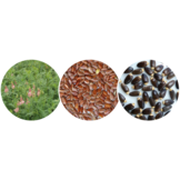 Esparcette with linseed and milk thistle seeds cobs 14kg