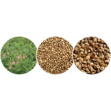 Esparcette with hemp seeds 14kg horse feed