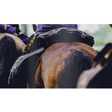 Saddle Bag "Halfmoon" Cordura waterproof