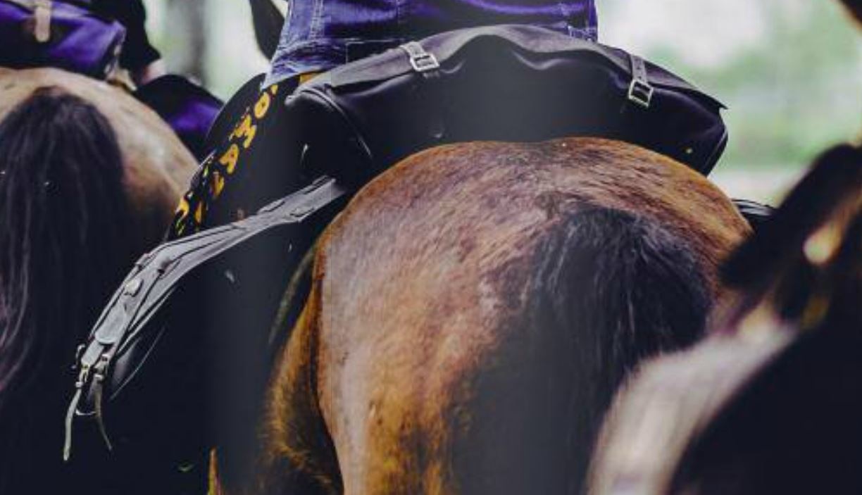 Zadeltas "Halfmoon" Cordura waterdicht