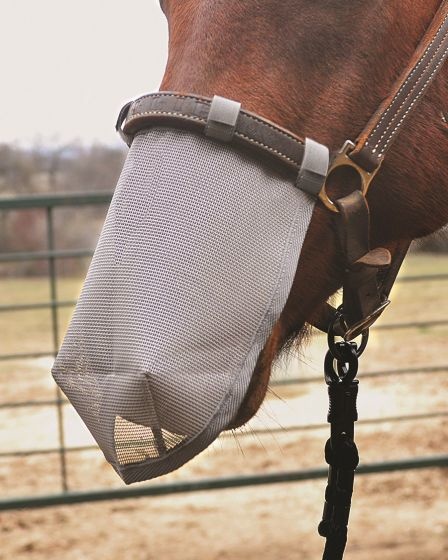 Neusnetje Cashel UV werend tegen insecten en verbranding van de neus