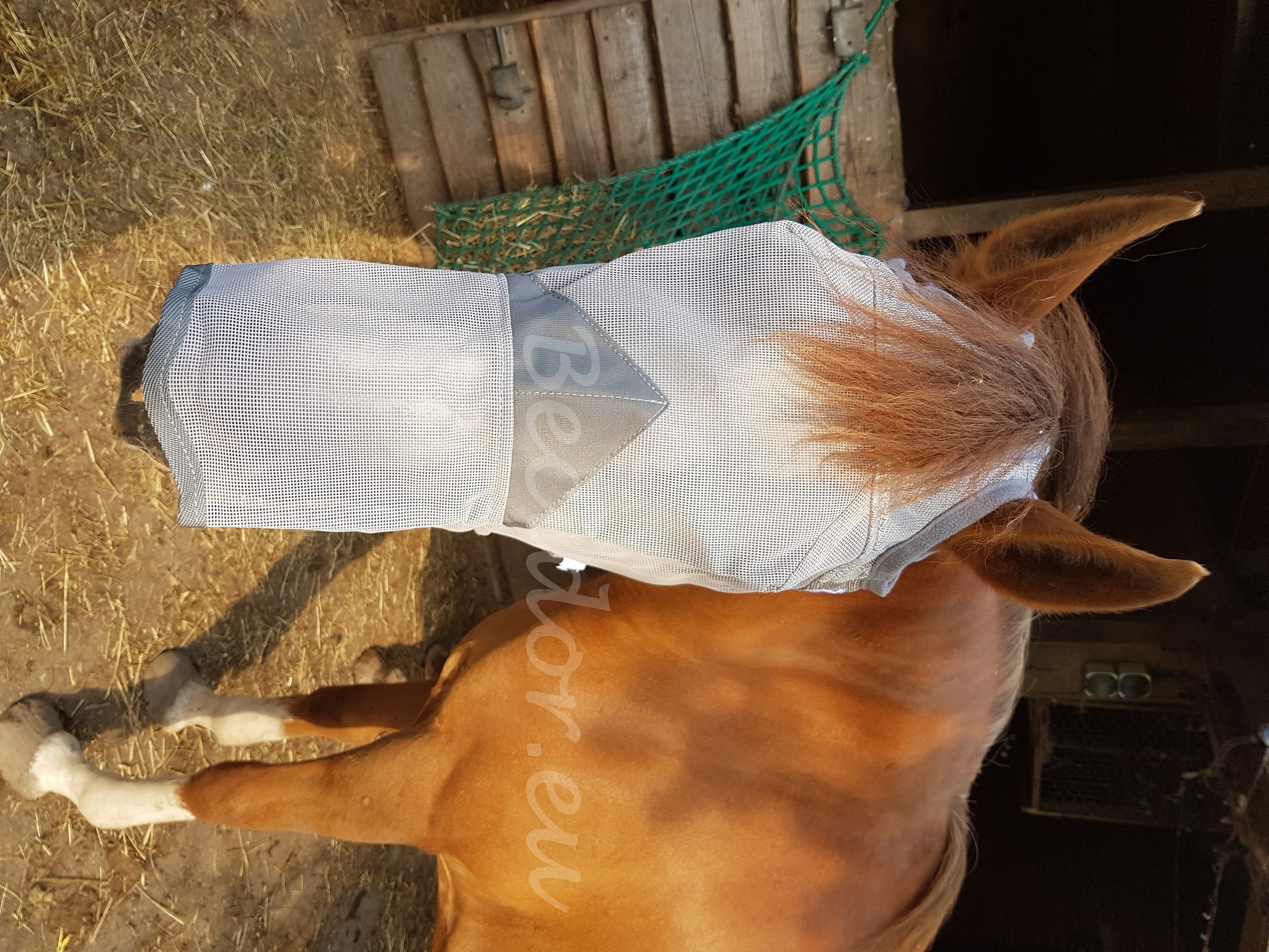 Crusader Fliegenmaske mit Nase UV-beständig