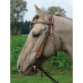 Western bridle Sonoma from leather cob