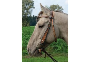 Westliches Zaumzeug Sonoma vollblut