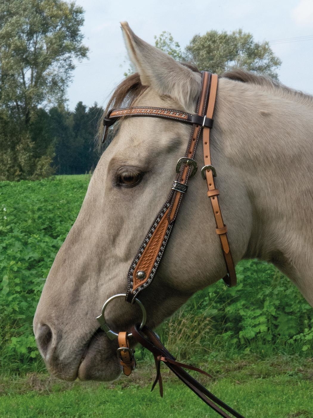 Westernhoofdstel Sonoma van leer cob