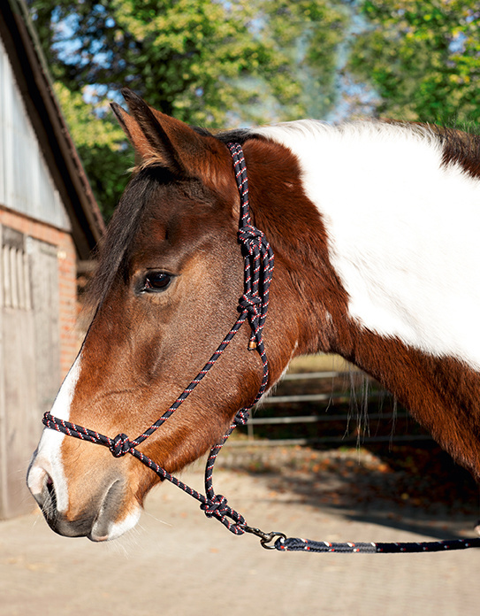 Touwhalster Trust ruim  verstelbaar