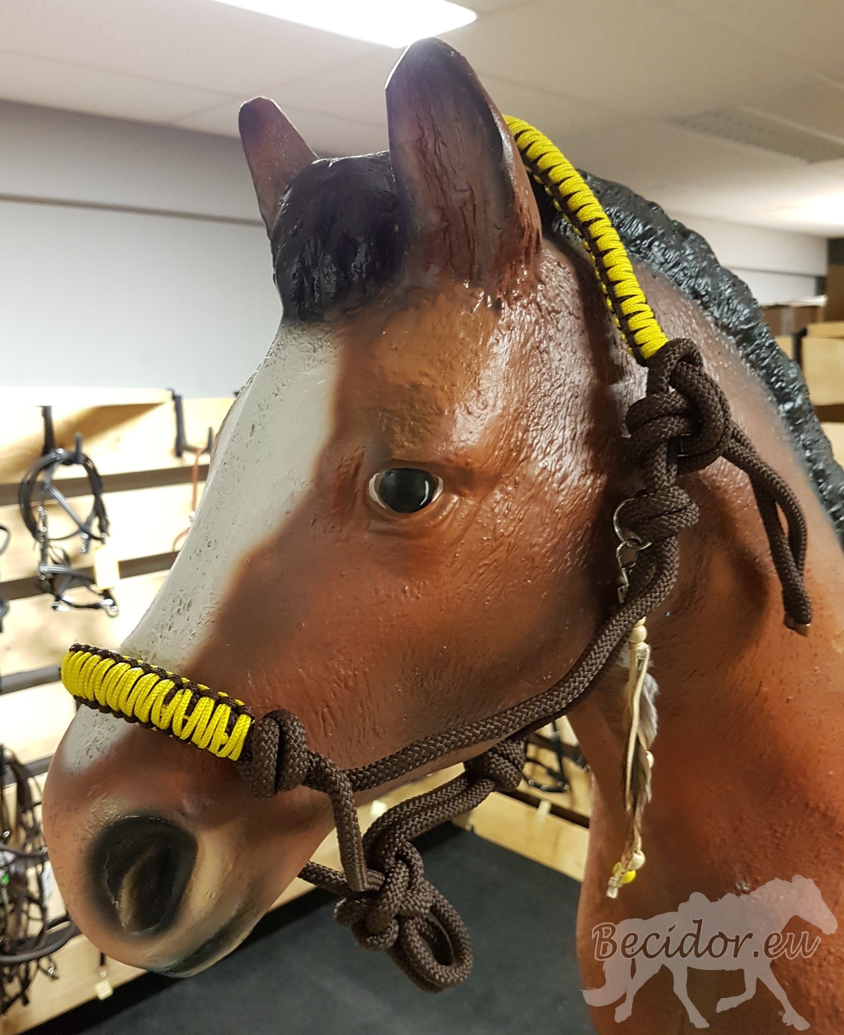 Touwhalster Feather met veer